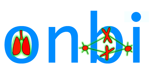 onbi logo v11b45a